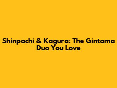 Shinpachi & Kagura: The Gintama Duo You Love