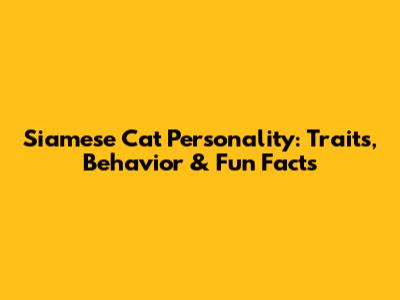 Siamese Cat Personality: Traits, Behavior & Fun Facts