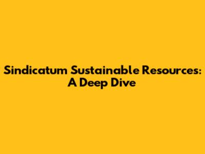 Sindicatum Sustainable Resources: A Deep Dive