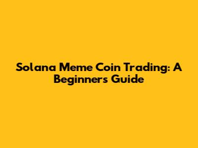 Solana Meme Coin Trading: A Beginner's Guide
