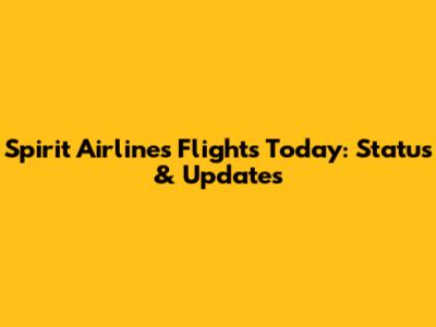 Spirit Airlines Flights Today: Status & Updates