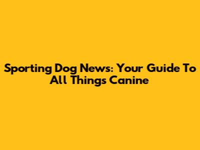 Sporting Dog News: Your Guide To All Things Canine