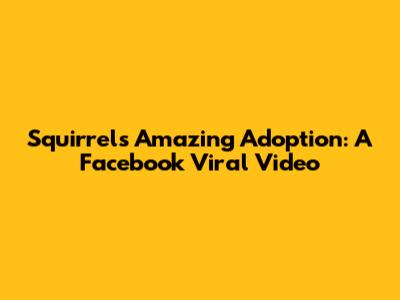 Squirrel's Amazing Adoption: A Facebook Viral Video