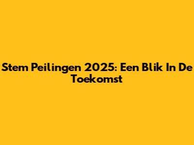 Stem Peilingen 2025: Een Blik In De Toekomst