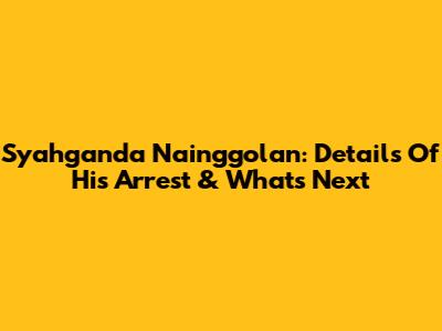Syahganda Nainggolan: Details Of His Arrest & What's Next
