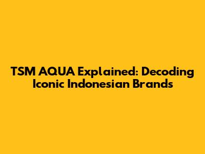 TSM AQUA Explained: Decoding Iconic Indonesian Brands