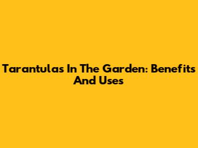Tarantulas In The Garden: Benefits And Uses