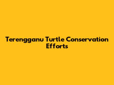 Terengganu Turtle Conservation Efforts