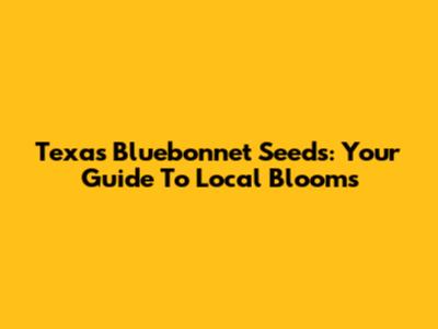 Texas Bluebonnet Seeds: Your Guide To Local Blooms