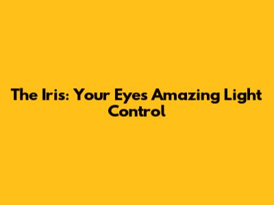 The Iris: Your Eye's Amazing Light Control