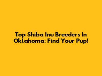 Top Shiba Inu Breeders In Oklahoma: Find Your Pup!