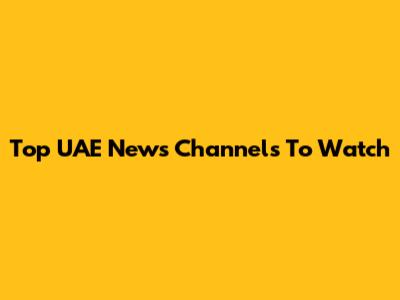 Top UAE News Channels To Watch