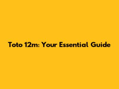 Toto 12m: Your Essential Guide