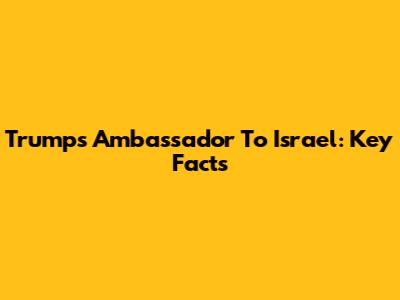 Trump's Ambassador To Israel: Key Facts