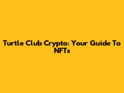 Turtle Club Crypto: Your Guide To NFTs
