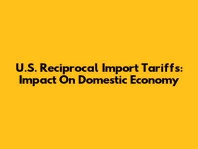 U.S. Reciprocal Import Tariffs: Impact On Domestic Economy