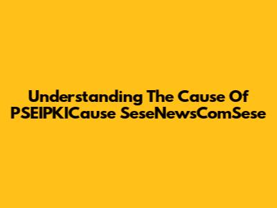 Understanding The Cause Of PSEIPKICause SeseNewsComSese