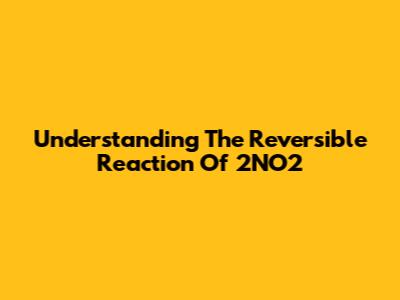Understanding The Reversible Reaction Of 2NO2