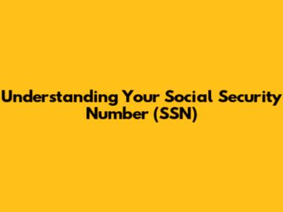 Understanding Your Social Security Number (SSN)