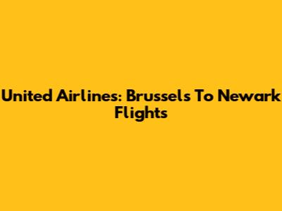 United Airlines: Brussels To Newark Flights