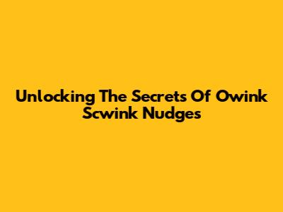 Unlocking The Secrets Of Owink Scwink Nudges