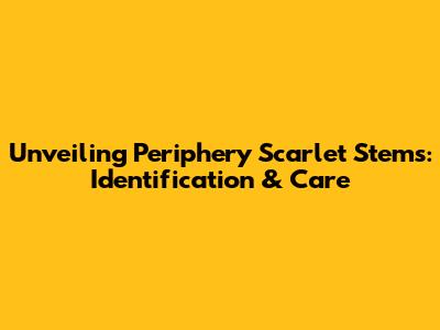 Unveiling Periphery Scarlet Stems: Identification & Care