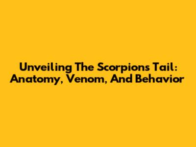 Unveiling The Scorpion's Tail: Anatomy, Venom, And Behavior