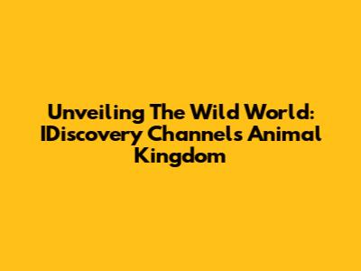 Unveiling The Wild World: IDiscovery Channel's Animal Kingdom