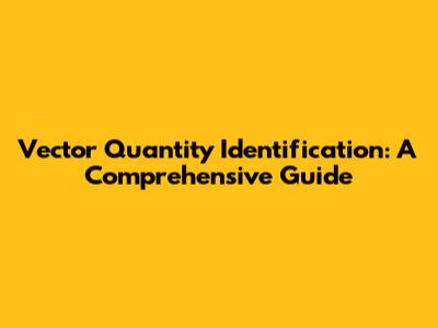 Vector Quantity Identification: A Comprehensive Guide