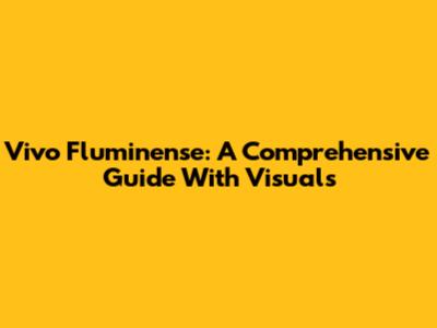 Vivo Fluminense: A Comprehensive Guide With Visuals