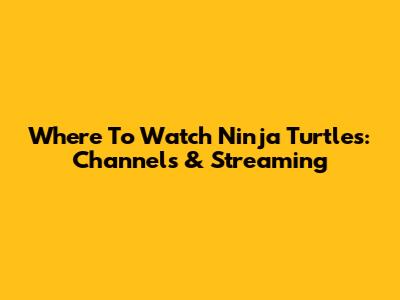 Where To Watch Ninja Turtles: Channels & Streaming