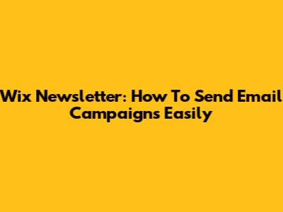 Wix Newsletter: How To Send Email Campaigns Easily