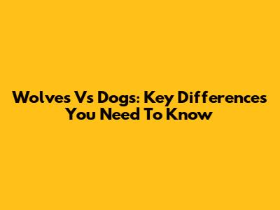 Wolves Vs Dogs: Key Differences You Need To Know