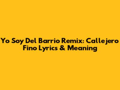 Yo Soy Del Barrio Remix: Callejero Fino Lyrics & Meaning